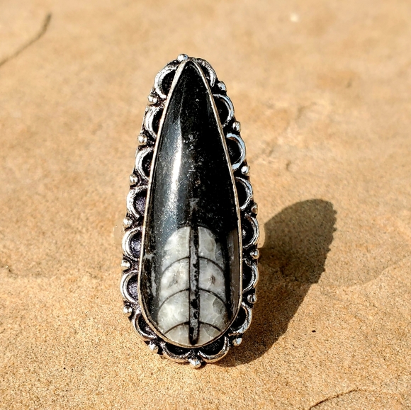 New Orthoceras Fossil Silver Ring. - Picture 3 of 6